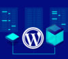 Reliable Web Hosting: Key to Website Success - Cao-Tech LLC